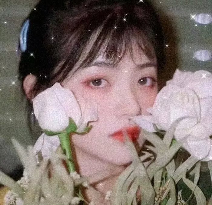 萌仔萌萌宅