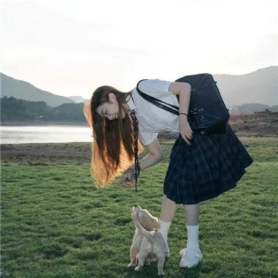 小夜莺